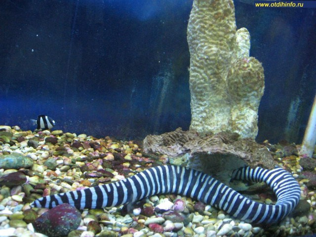 Музеи Севастополя, что посмотреть в Севастополе, экскурсии по Севастополю. Профессиональная фотосъемка в Крыму. Натуральные эмоции и живые кадры. Забронируйте дату прямо сейчас!