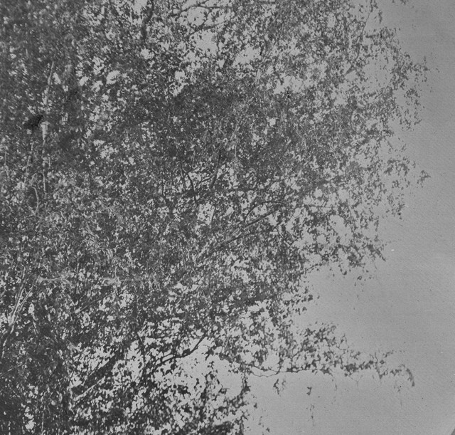 Торжок. Фотолаборатория XIX века в городе Тверь