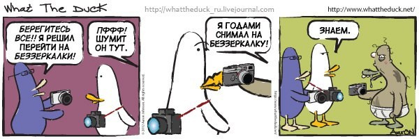 What The Duck Comic Strips. Фотограф в Москве. Екатерина Митина