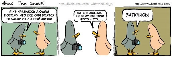 What The Duck Comic Strips. Фотограф в Москве. Екатерина Митина