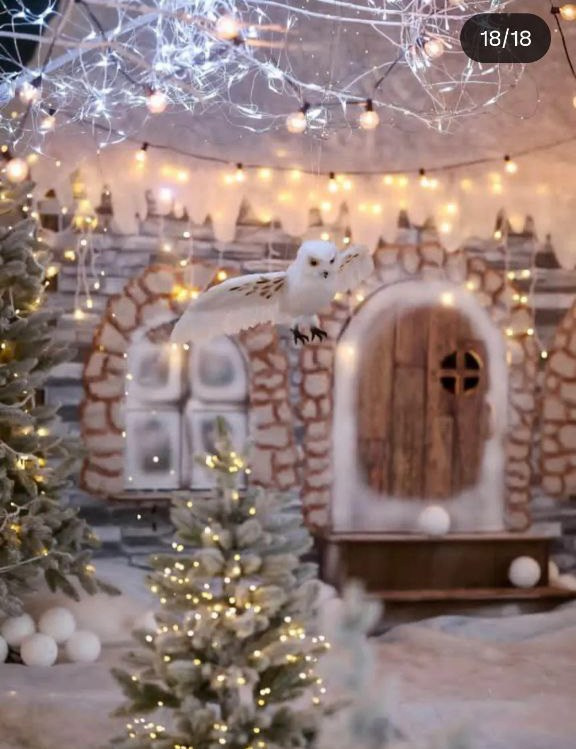 Фотостудии Казани для новогодней фотосессии с семьей 2025: адреса, цены, интерьеры. Контент фотограф Казань Татьяна Горина