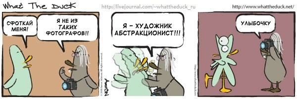 What The Duck Comic Strips. Фотограф в Москве. Екатерина Митина