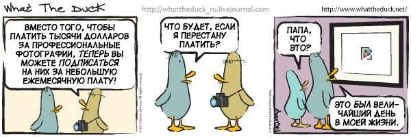 What The Duck Comic Strips. Фотограф в Москве. Екатерина Митина