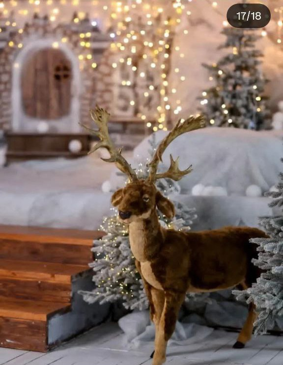 Фотостудии Казани для новогодней фотосессии с семьей 2025: адреса, цены, интерьеры. Контент фотограф Казань Татьяна Горина