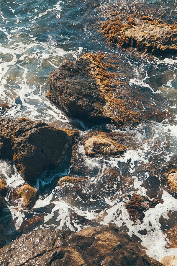 Путешествие по южному берегу Крыма