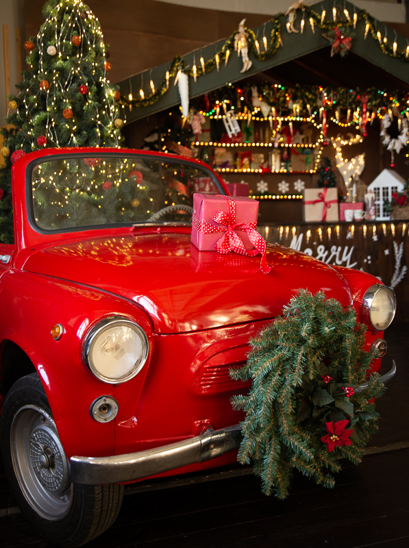 Diva studio. Фотограф в Минске Людмила Дутко