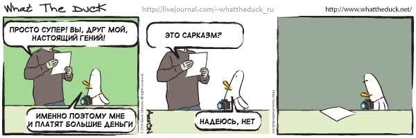 What The Duck Comic Strips. Фотограф в Москве. Екатерина Митина