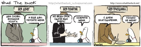 What The Duck Comic Strips. Фотограф в Москве. Екатерина Митина