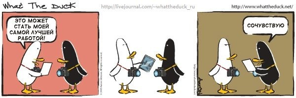 What The Duck Comic Strips. Фотограф в Москве. Екатерина Митина