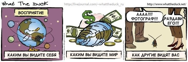 What The Duck Comic Strips. Фотограф в Москве. Екатерина Митина