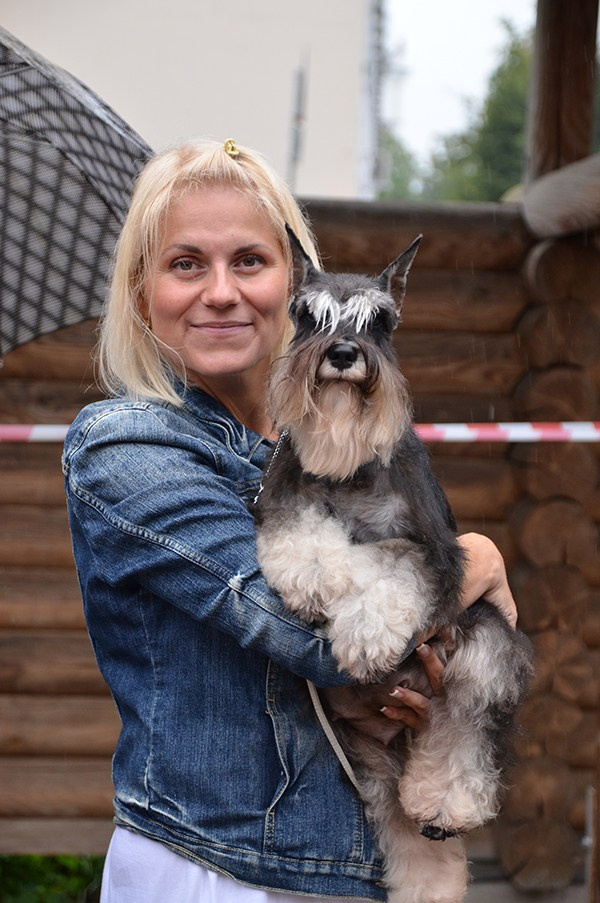 Питомник цвергшнауцеров Беларусь