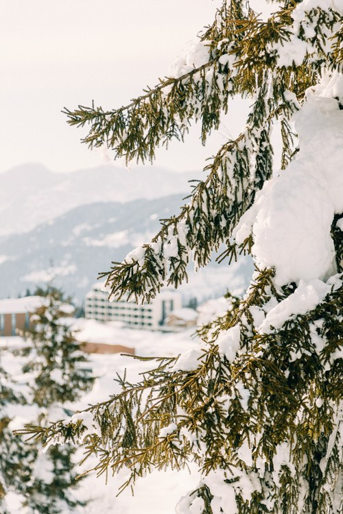 Горнолыжный курорт Годердзи