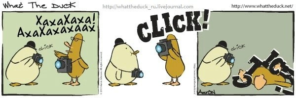 What The Duck Comic Strips. Фотограф в Москве. Екатерина Митина