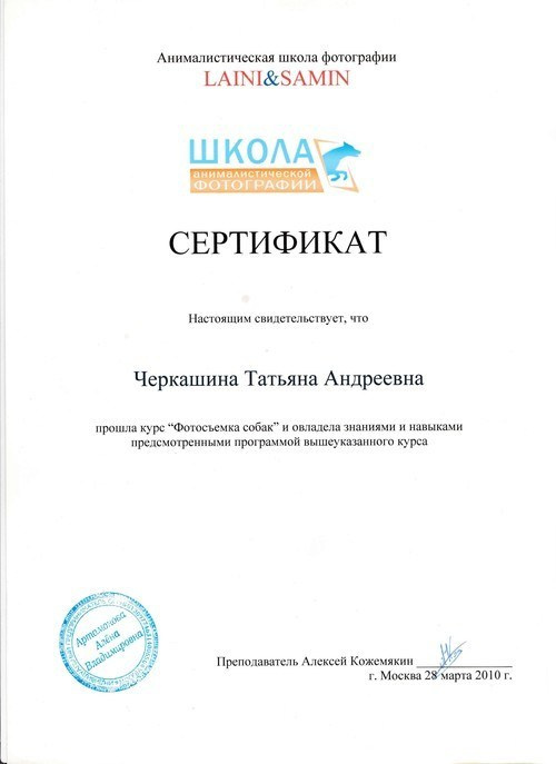 ОБО МНЕ. Фотограф для Вашей собаки