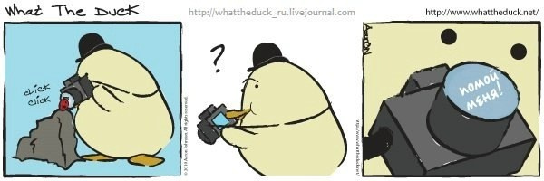 What The Duck Comic Strips. Фотограф в Москве. Екатерина Митина