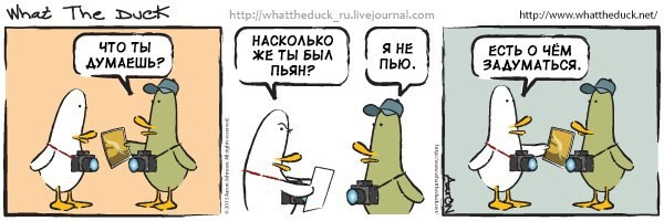 What The Duck Comic Strips. Фотограф в Москве. Екатерина Митина