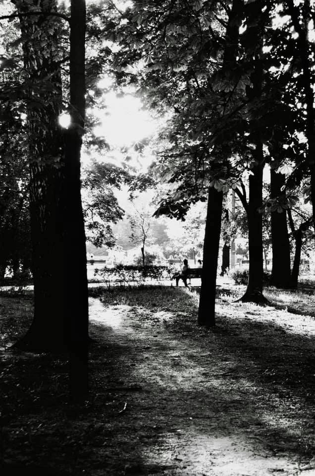 Автор: Юлия Гаркушенко