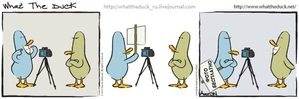 What The Duck Comic Strips. Фотограф в Москве. Екатерина Митина