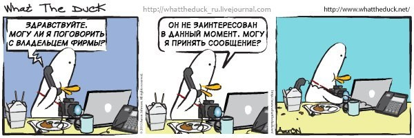 What The Duck Comic Strips. Фотограф в Москве. Екатерина Митина