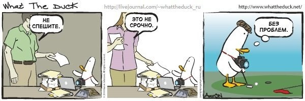 What The Duck Comic Strips. Фотограф в Москве. Екатерина Митина