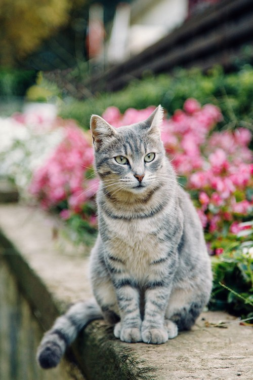 Путешествие в Стамбул