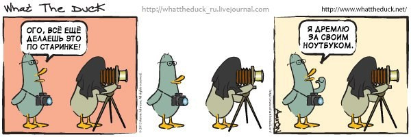 What The Duck Comic Strips. Фотограф в Москве. Екатерина Митина