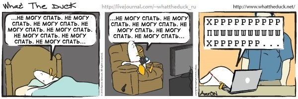 What The Duck Comic Strips. Фотограф в Москве. Екатерина Митина
