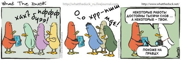 What The Duck Comic Strips. Фотограф в Москве. Екатерина Митина