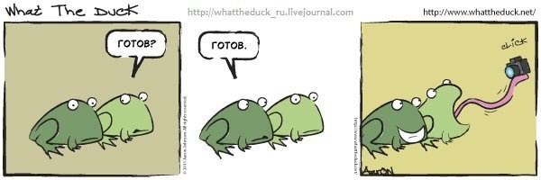 What The Duck Comic Strips. Фотограф в Москве. Екатерина Митина