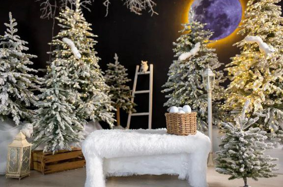 Фотостудии Казани для новогодней фотосессии с семьей 2025: адреса, цены, интерьеры. Контент фотограф Казань Татьяна Горина