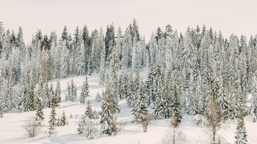 Горнолыжный курорт Годердзи