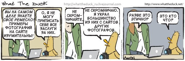 What The Duck Comic Strips. Фотограф в Москве. Екатерина Митина