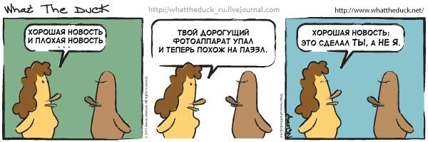 What The Duck Comic Strips. Фотограф в Москве. Екатерина Митина