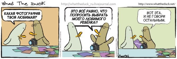 What The Duck Comic Strips. Фотограф в Москве. Екатерина Митина
