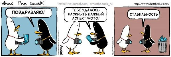 What The Duck Comic Strips. Фотограф в Москве. Екатерина Митина