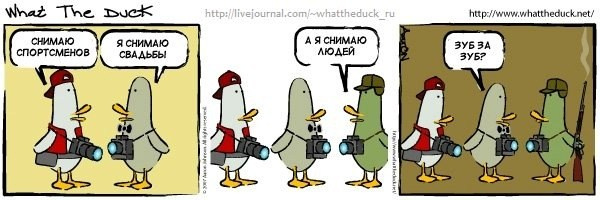 What The Duck Comic Strips. Фотограф в Москве. Екатерина Митина