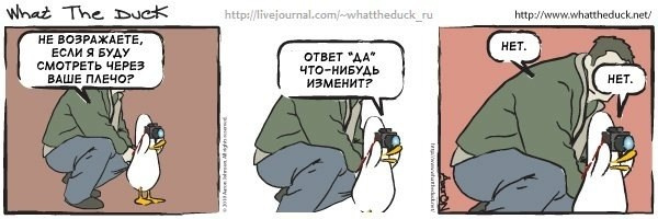 What The Duck Comic Strips. Фотограф в Москве. Екатерина Митина