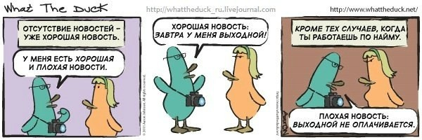 What The Duck Comic Strips. Фотограф в Москве. Екатерина Митина