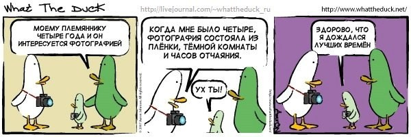 What The Duck Comic Strips. Фотограф в Москве. Екатерина Митина