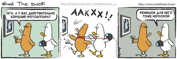 What The Duck Comic Strips. Фотограф в Москве. Екатерина Митина