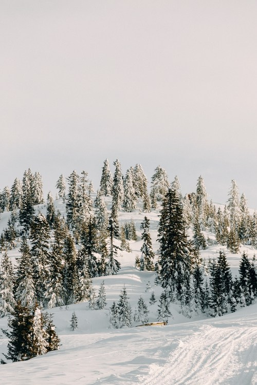 Горнолыжный курорт Годердзи