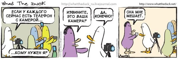 What The Duck Comic Strips. Фотограф в Москве. Екатерина Митина