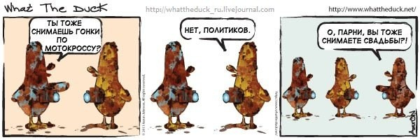 What The Duck Comic Strips. Фотограф в Москве. Екатерина Митина