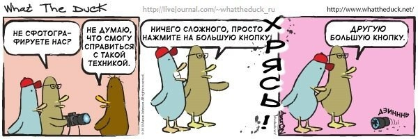 What The Duck Comic Strips. Фотограф в Москве. Екатерина Митина