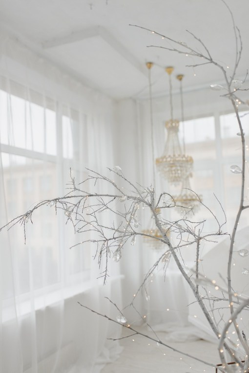 Студии. Профессиональный фотограф в Санкт-Петербурге Субочева Анна