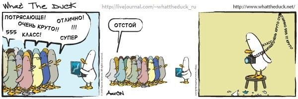 What The Duck Comic Strips. Фотограф в Москве. Екатерина Митина