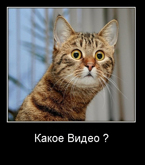 Личный блог Александра Трейго