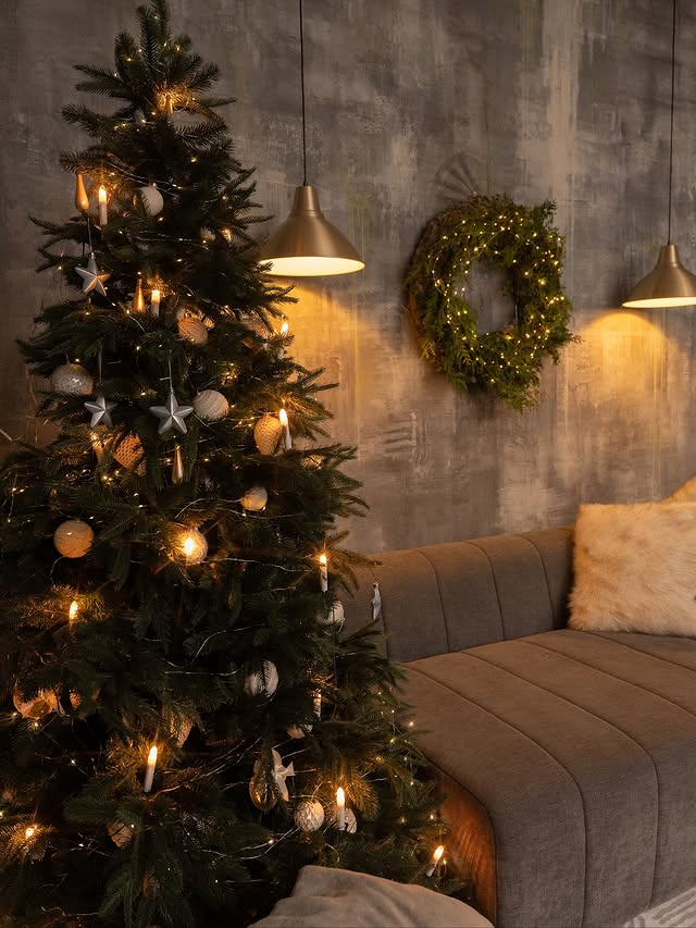 Фотостудия Феломена в Минске — аренда, описание и съёмка с фотографом Людмилой Дутко. Фотограф в Минске Людмила Дутко