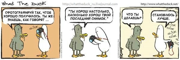 What The Duck Comic Strips. Фотограф в Москве. Екатерина Митина