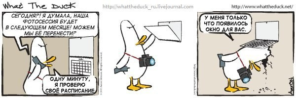 What The Duck Comic Strips. Фотограф в Москве. Екатерина Митина